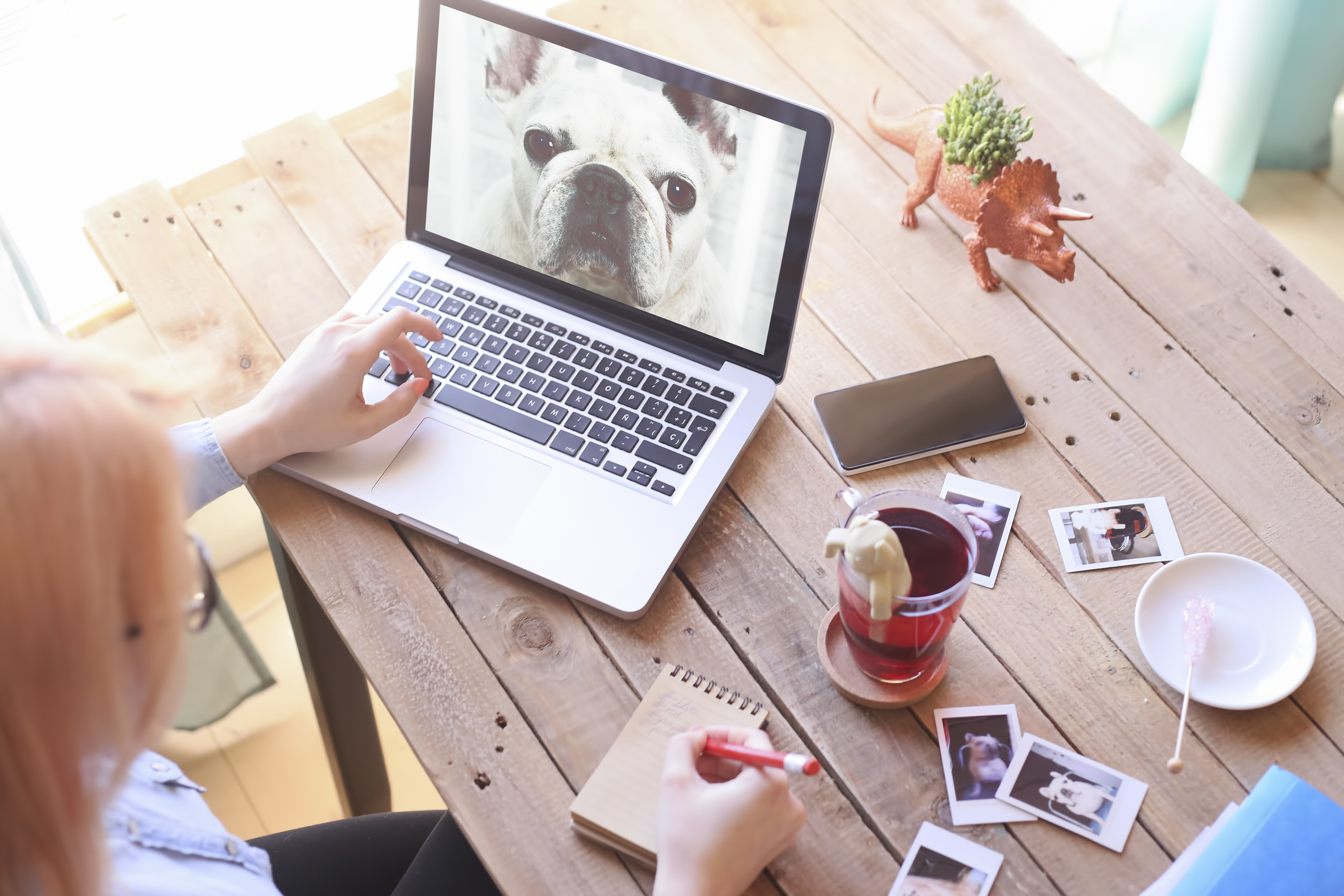 5 reasons you should seek professional help for your website.