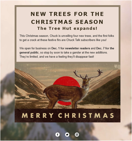 Shows a sample Mailchimp Christmas email template.